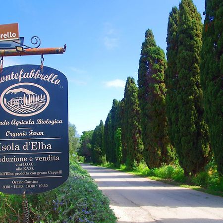 Agriturismo Montefabbrello Magazzini  المظهر الخارجي الصورة