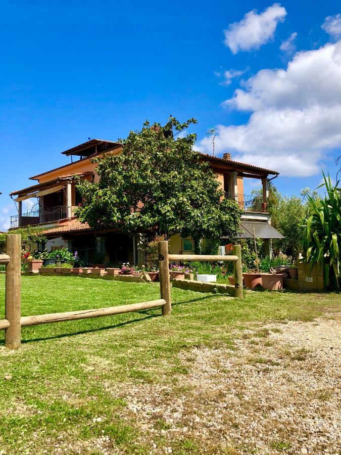 Agriturismo Montefabbrello Magazzini  المظهر الخارجي الصورة