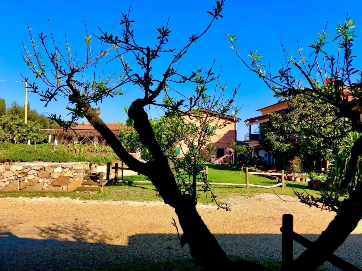 Agriturismo Montefabbrello Magazzini  المظهر الخارجي الصورة
