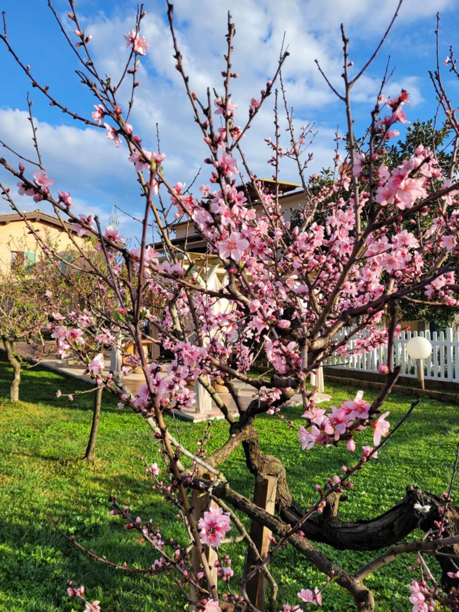 Agriturismo Montefabbrello Magazzini  المظهر الخارجي الصورة