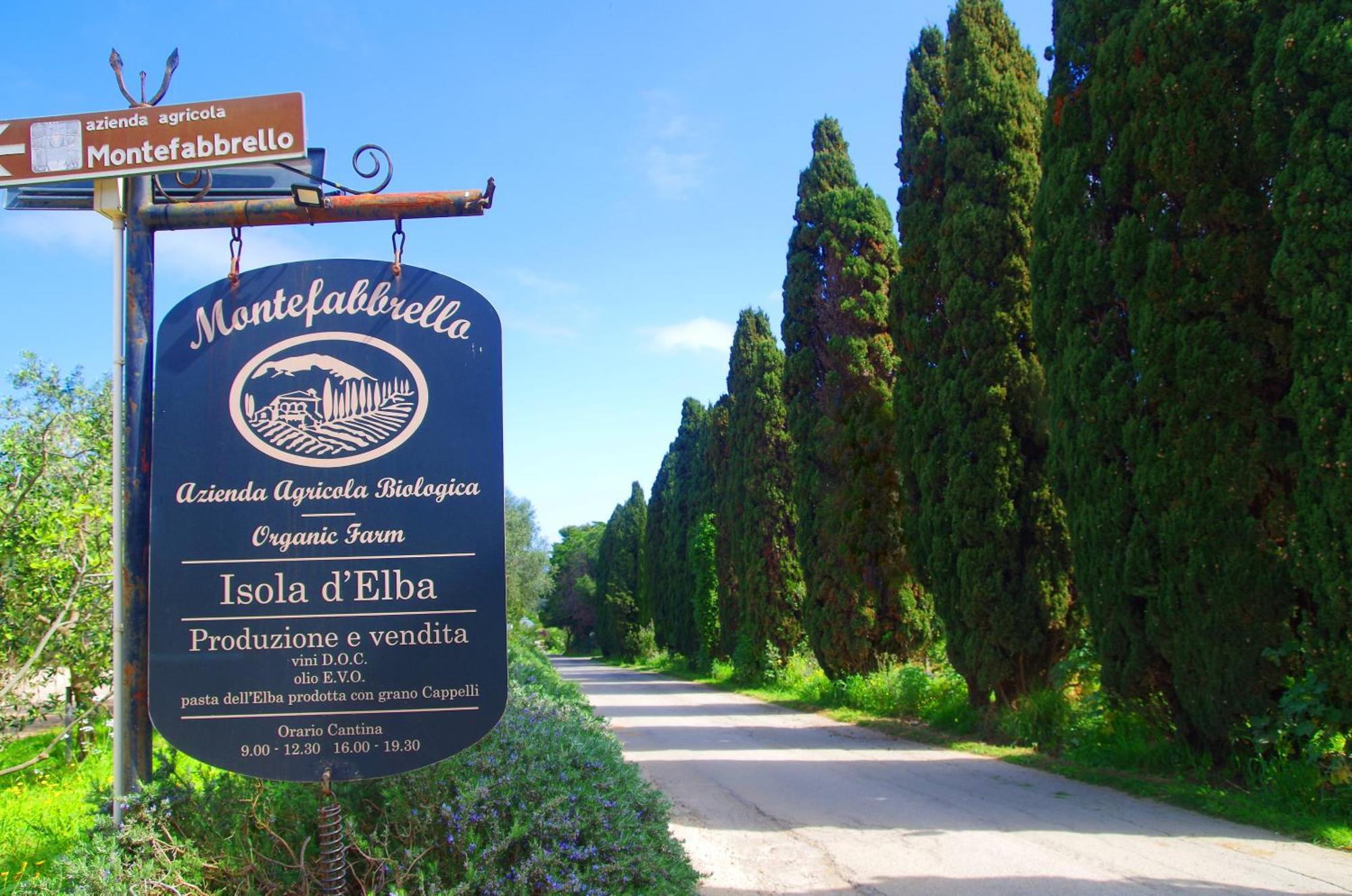 Agriturismo Montefabbrello Magazzini  المظهر الخارجي الصورة
